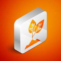 Wall Mural - Isometric Plant icon isolated on orange background. Seed and seedling. Leaves sign. Leaf nature. Silver square button. Vector