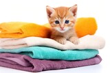 Fototapeta Koty - Cute little kitten with pile of towels isolated on white background, Cute ginger kitten on pile of colorful towels, isolated on white, AI Generated