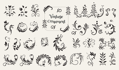 vintage floral ornament. decorative vector frames and borders.