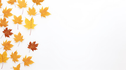 Wall Mural - maple leaves on a white background isolated frame of fallen leaves autumn blank