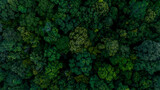 Fototapeta Las - Aerial view of nature green forest and tree. Forest ecosystem and health concept and background, texture of green forest from above.Nature conservation concept.Natural scenery tropical green forest.