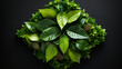 Grüne Energie: Recycling-Symbol mit Blätterkranz