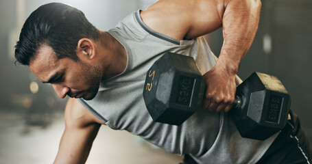 Poster - Man, dumbbell and weightlifting on bench in workout, exercise or fitness at indoor gym. Serious male person, bodybuilder or athlete lifting weight for intense arm training, strength or muscle at club