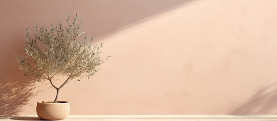 Sticker - Olive tree by a neutral wall