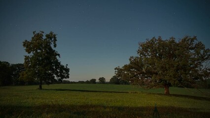 Wall Mural - Timelapse of the green trees of a park under the starry sky and meteors