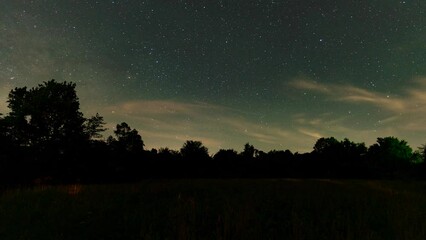 Wall Mural - Timelapse of the silhouettes of trees of a park under the starry sky and meteors