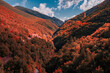 Autumn view of the forests on the Sibillini mountains in the Marche region, Italy