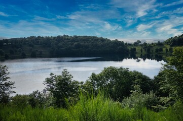 Wall Mural - Scenic view of a tranquil lake surrounded by green trees under a blue sky on a sunny day