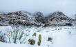 Scenic view of red Rock Canyon, Las Vegas, Nevada in snow in  winter