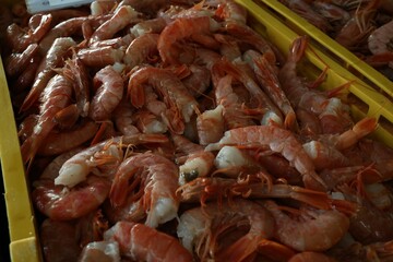 Wall Mural - Closeup view of shrimp at a fish market in Croatia