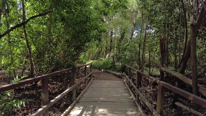 Sticker - Old wooden bridge surrounded by trees in a forest