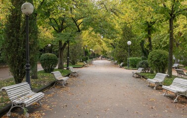 Wall Mural - pathway lined with green trees and benches in the town of soria, spain