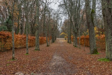 Sticker - Beautiful autumn scenery at the royal palace of San Idelfonso in Segovia