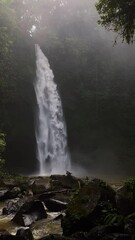 Wall Mural - Vertical shot of the beautiful flowing Nungnung waterfall in Bali, Indonesia