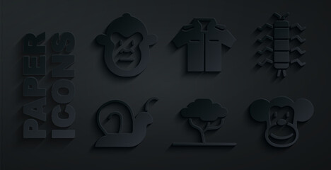 Set African tree, Centipede insect, Snail, Monkey, Shirt and icon. Vector