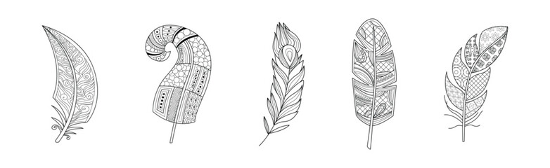 Sticker - Feather Artistically Drawn Stylized Element Vector Set