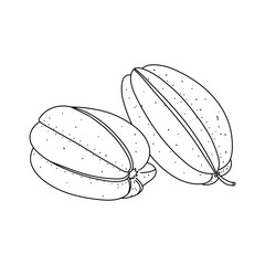 Canvas Print - Carambola Star fruit doodle isolated on white background, hand drawn starfruit design element