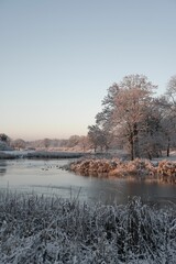 Wall Mural - Idyllic winter scene of a tranquil river covered in a layer of ice, illuminated by the setting sun