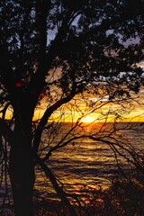 Poster - Majestic sunrise over a secluded beach in Sydney, Australia