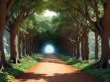 Fototapeta Natura - A Path Through A Forest