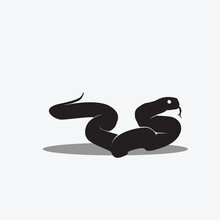 Snake Vector Png