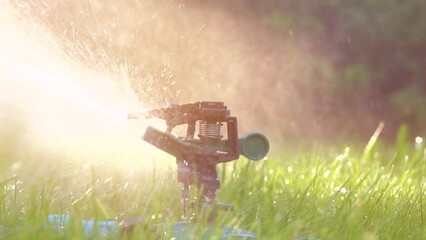 Poster - Watering garden grass, Sprinkler head watering green grass lawn. Gardening concept. Smart garden activated with full automatic sprinkler irrigation system working in a green park. Slow motion