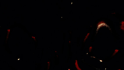 Wall Mural - moving dark stream with dots and lines. motion. flashing moving dots and lines in stream. black back