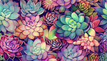 Succulents Watercolor Soft Muted Colors, Delicate Botanical  Variations. Floral Blooming Succulent Art Background For Web, Mobile Watercolors Copy Space. 
