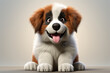 Saint Bernard dog on a white background. Adorable fluffy animal portrait. Generated by generative AI.