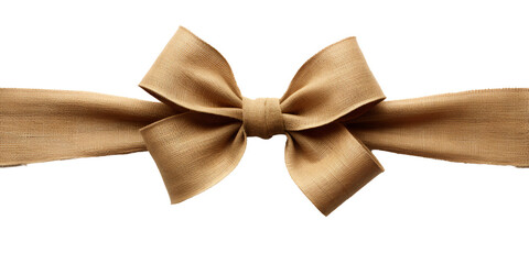 Wall Mural - ecological packaging with natural ribbon and bow isolated against transparent background