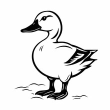 Black White Duck Illustration.