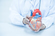 © arcyto - Cardiologist showing anatomy model human heart on white background.Cardiology consultation, treatment of heart disease.Doctor explain to patient for heart attacks and medical treatment.
