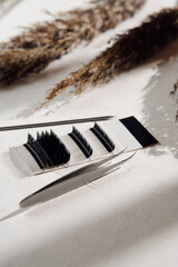 makeup artist tools and accessories for eyelash extensions. composition of set of eyelashes, tweezer