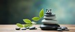 Zen balance image with stone silhouette butterfly and peaceful background representing feng shui and harmony for meditation and day spa