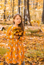Little Kid Girl With Autumn Orange Leaves In A Park. Lifestyle, Fall Season And Children Concept.