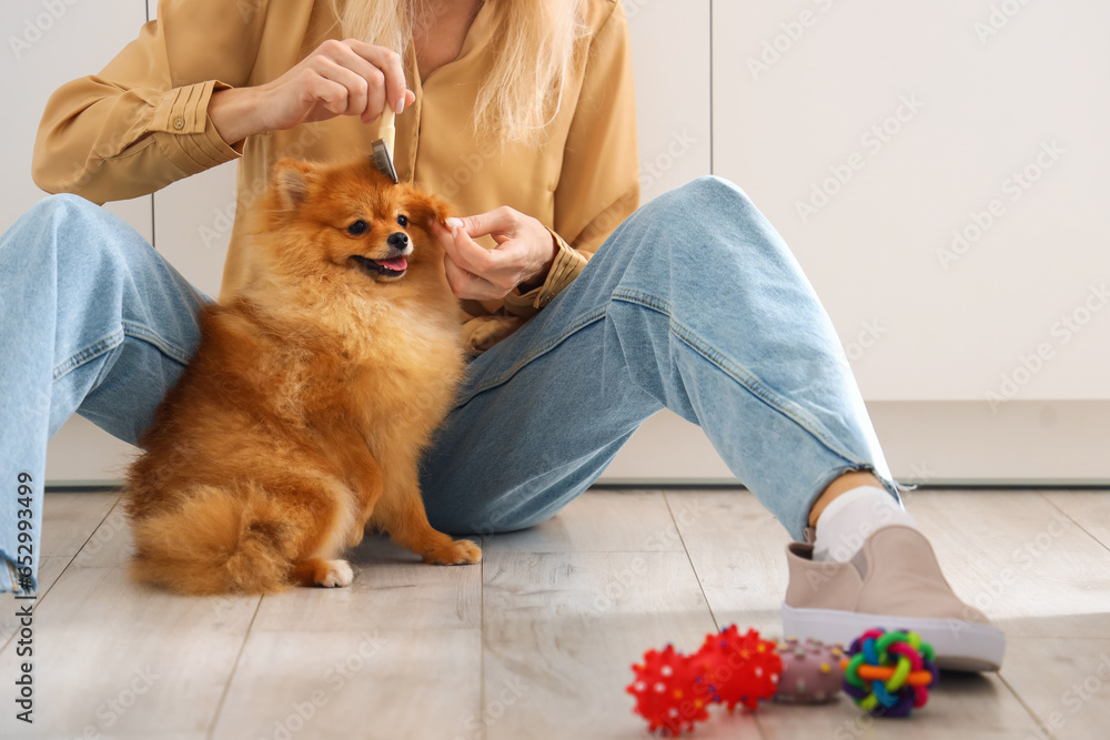 Mature woman brushing Pomeranian dog in kitchen