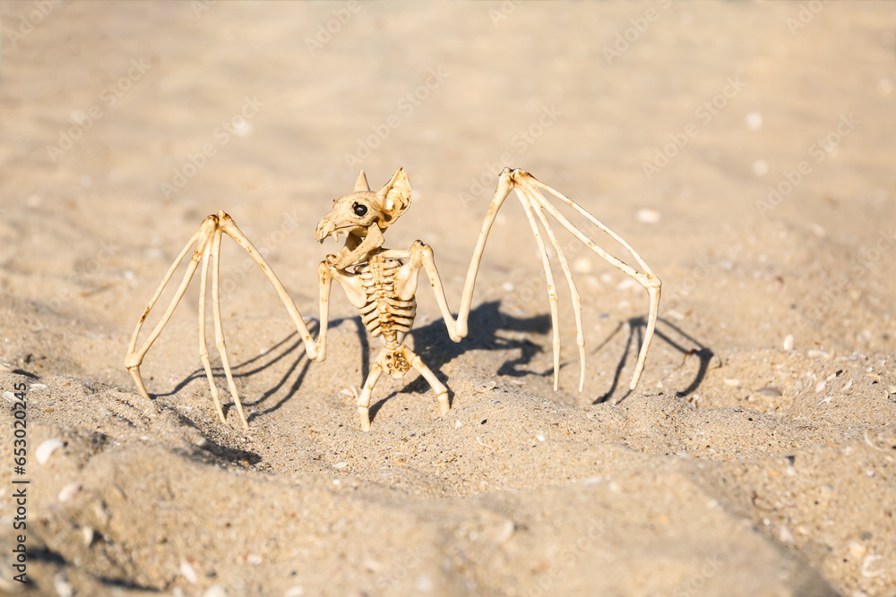 Bat skeleton for Halloween on beach