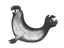 Southern Elephant Seal (Mirounga Leonina). Doodle Sketch. Vintage Vector Illustration.
