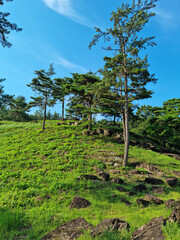 Canvas Print - It is a hill with a dolmen.