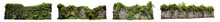 Set Of Aged Garden Stone Wall Fences With Ivy Plants , Isolated On A Transparent Background. PNG, Cutout, Or Clipping Path.