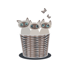Little Siamese Funny Kittens In A Basket Isolated On A White Background. 