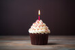 birthday cupcake with one candle