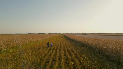 Wall Mural - Aerial view of two farmers in soy field making agreement with handshake before harvest at sunset.