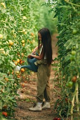 Wall Mural - With watering can. Little girl is in the garden with tomatoes