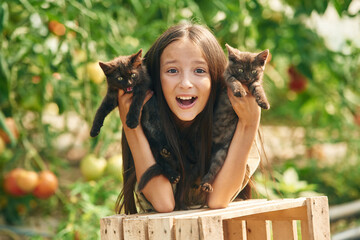 Wall Mural - Two kittens in hands. Little girl is in the garden with tomatoes