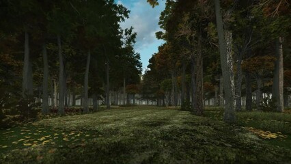 Wall Mural - Beautiful forest in Autumn, walk through a pathway in the woods