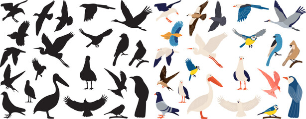 Sticker - birds of different breeds set, on a white background, vector