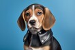 Close-up portrait photography of a cute beagle wearing a leather jacket against a soft blue background. With generative AI technology