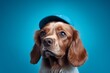 Photography in the style of pensive portraiture of a cute cocker spaniel wearing a cool cap against a soft blue background. With generative AI technology