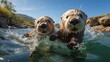 Sea otters frolic in oceanic bliss split-view depicts secluded tropical sanctuary 